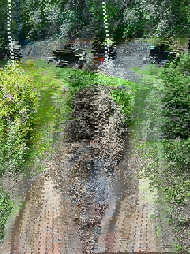 Driveway Pressure Washing