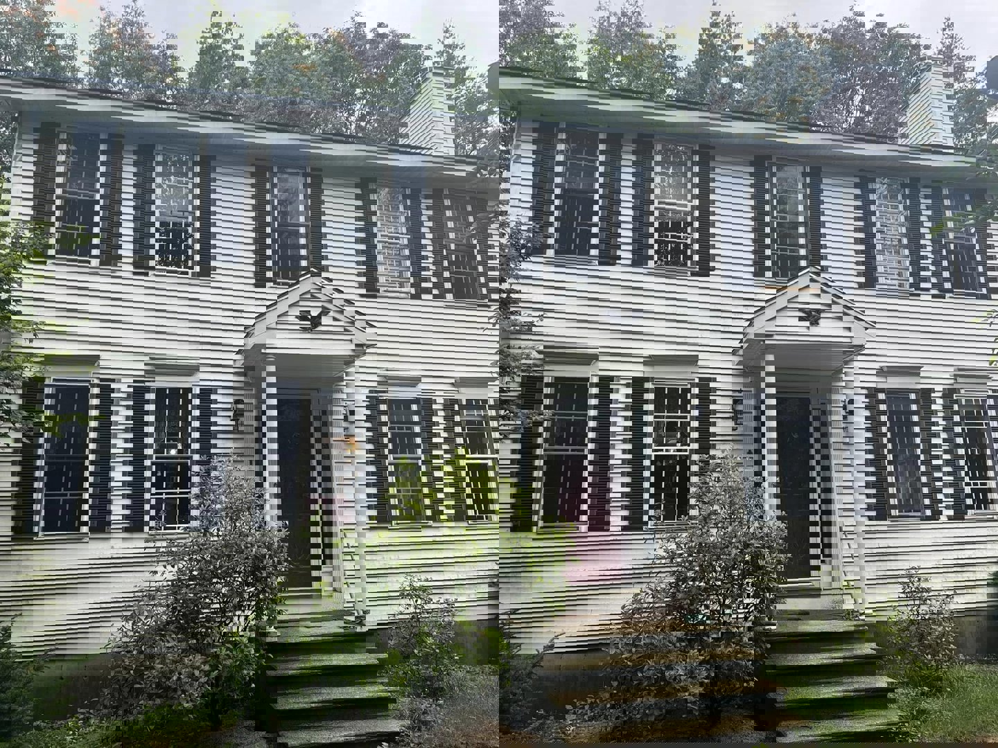 Fence Pressure Washing